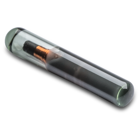 GT 2/12 MM LF UNIQUE V4